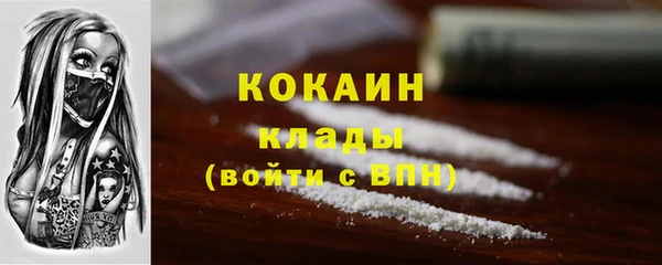 Альфа ПВП Магас