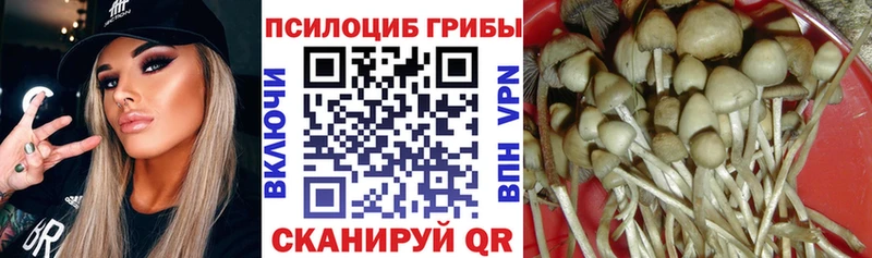 площадка Telegram  Дмитриев  Псилоцибиновые грибы мицелий  наркота  KRAKEN ONION 